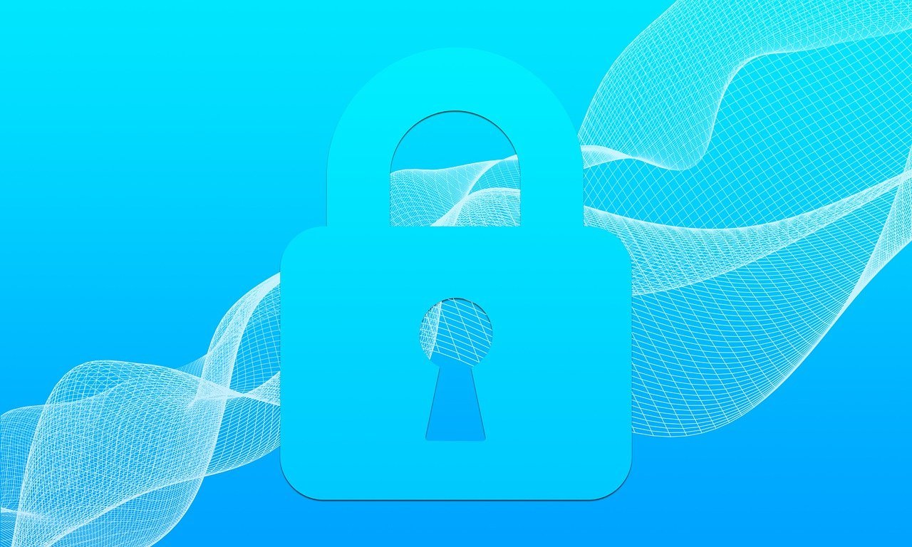 security, internet, cyber-4390569.jpg